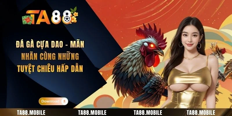 Đá Gà Cựa Dao