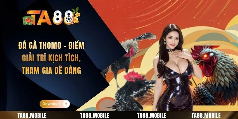 Đá Gà Thomo